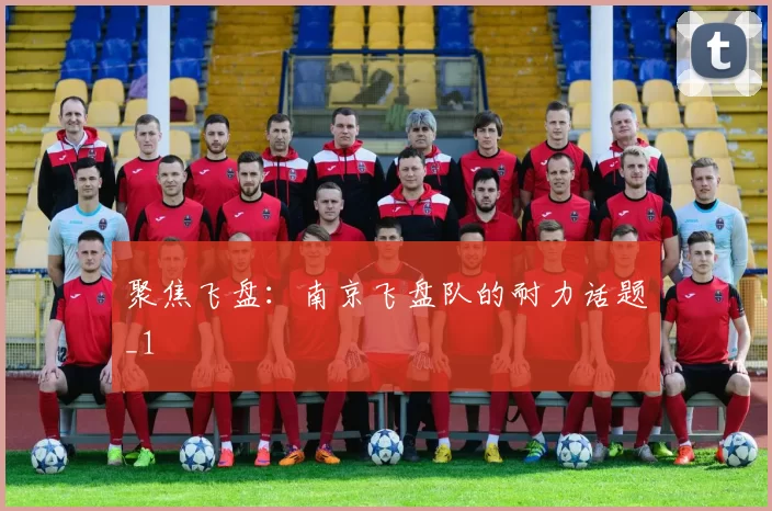聚焦飞盘：南京飞盘队的耐力话题_1