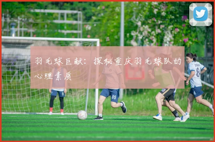羽毛球巨献：探秘重庆羽毛球队的心理素质