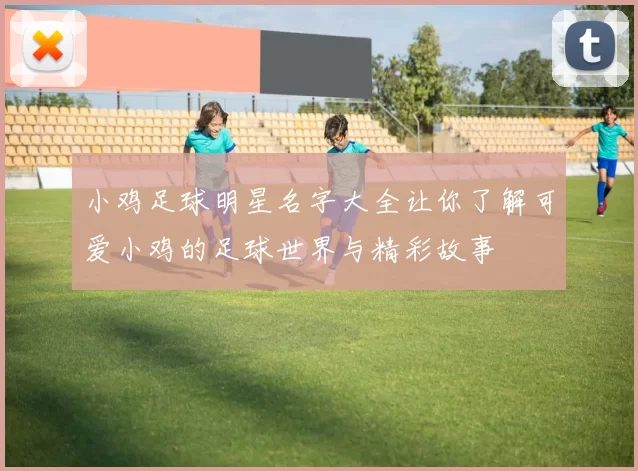 小鸡足球明星名字大全让你了解可爱小鸡的足球世界与精彩故事