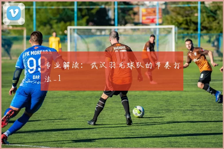 专业解读：武汉羽毛球队的节奏打法_1