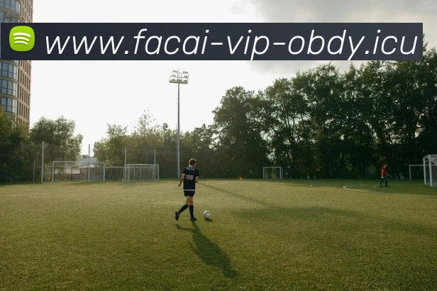 MK体育APP 封面图